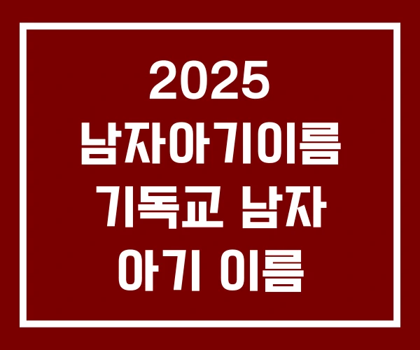 2025 남자아기이름 기독교 남자 아기 이름