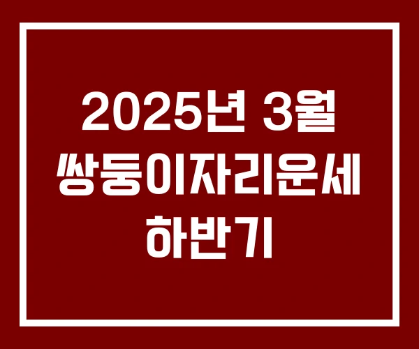 2025년 3월 쌍둥이자리운세 하반기
