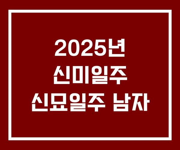 2025년 신미일주 신묘일주 남자