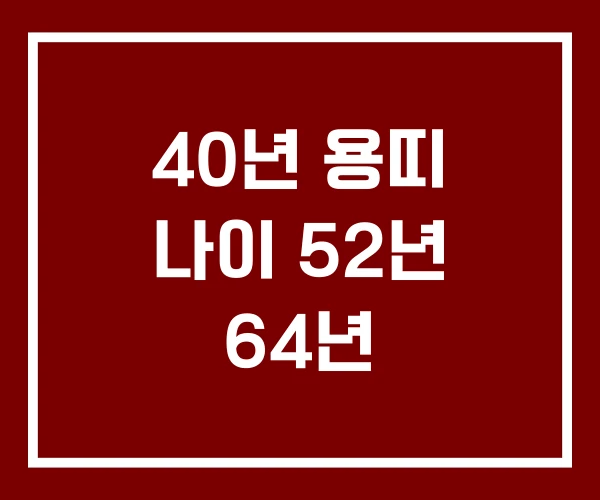 40년 용띠 나이 52년 64년