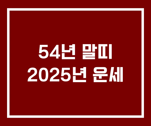 54년 말띠 2025년 운세