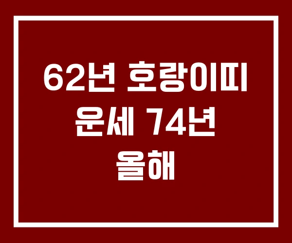 62년 호랑이띠 운세 74년 올해