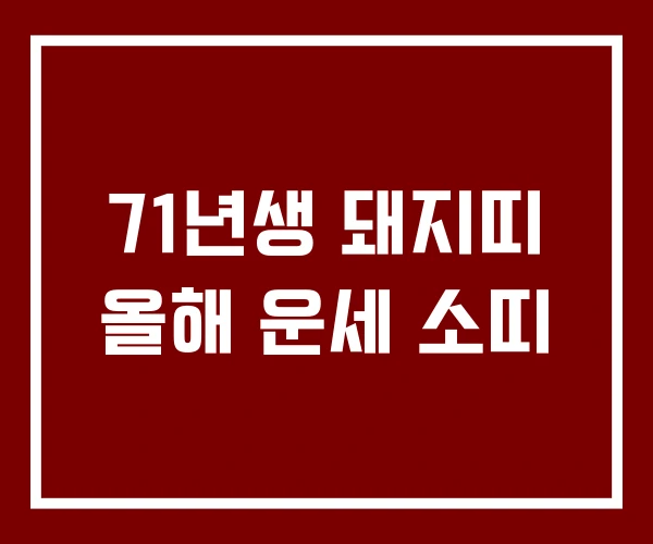 71년생 돼지띠 올해 운세 소띠