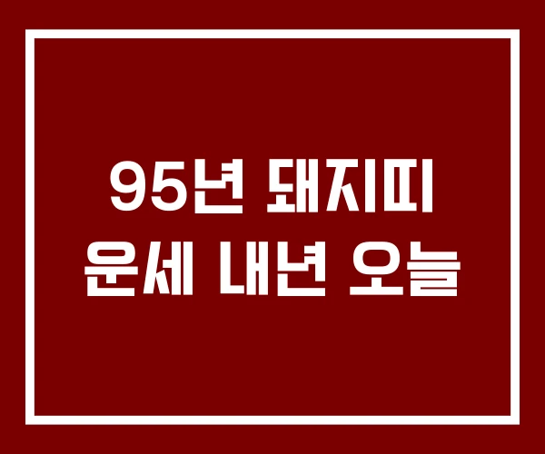 95년 돼지띠 운세 내년 오늘