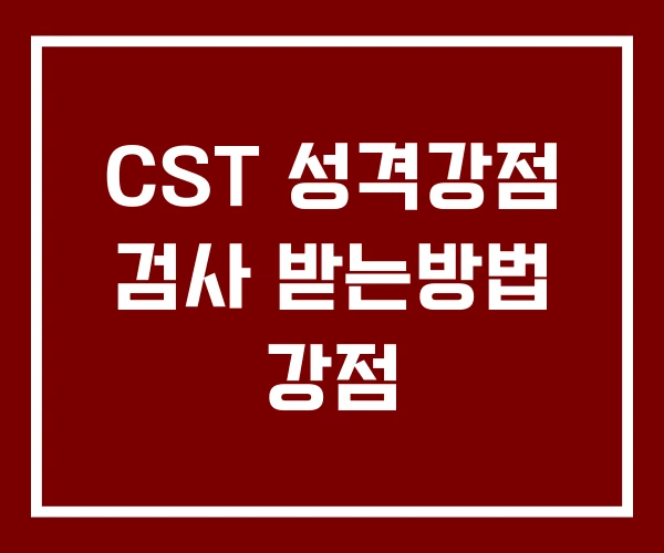 CST 성격강점 검사 받는방법 강점