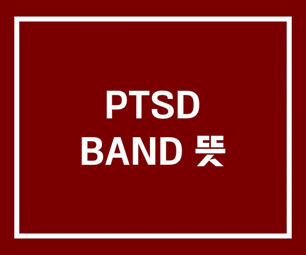 PTSD BAND 뜻