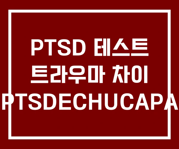 PTSD 테스트 트라우마 차이 PTSDECHUCAPA