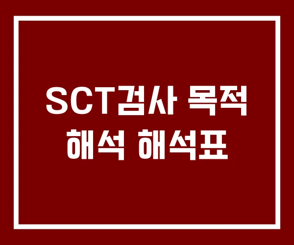 SCT검사 목적 해석 해석표