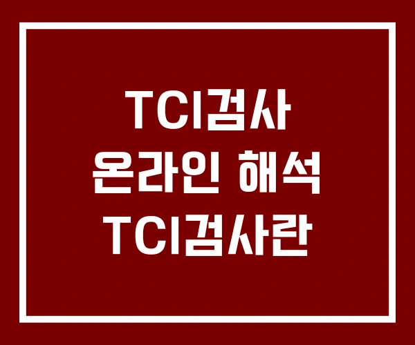 TCI검사 온라인 해석 TCI검사란