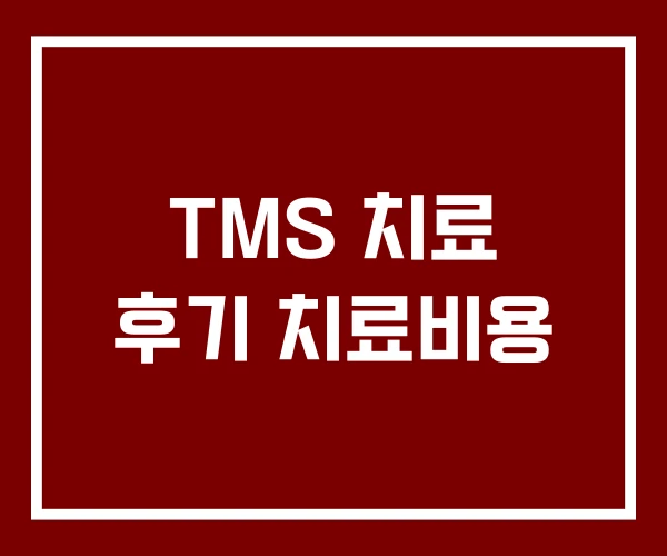 TMS 치료 후기 치료비용