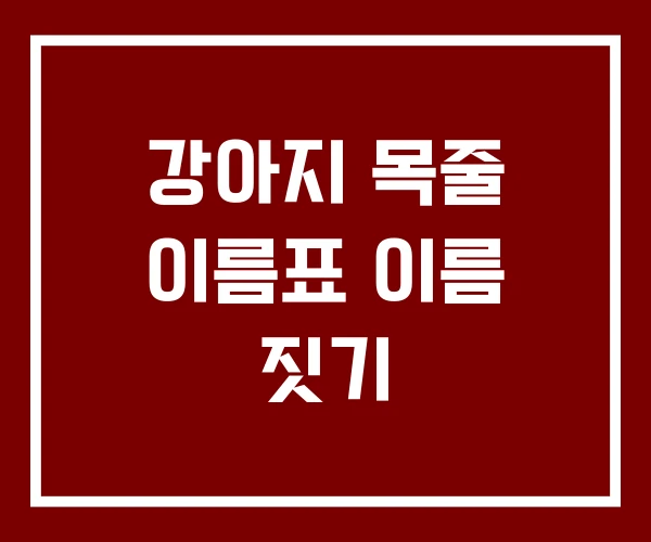 강아지 목줄 이름표 이름 짓기