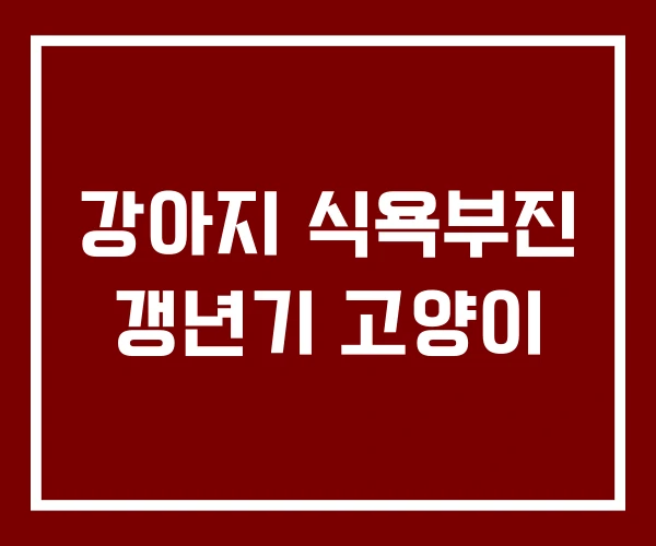 강아지 식욕부진 갱년기 고양이