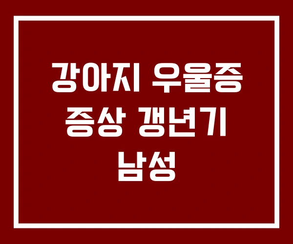 강아지 우울증 증상 갱년기 남성
