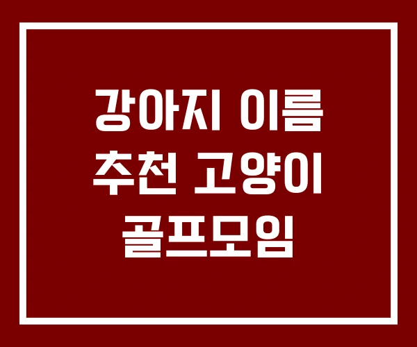 강아지 이름 추천 고양이 골프모임