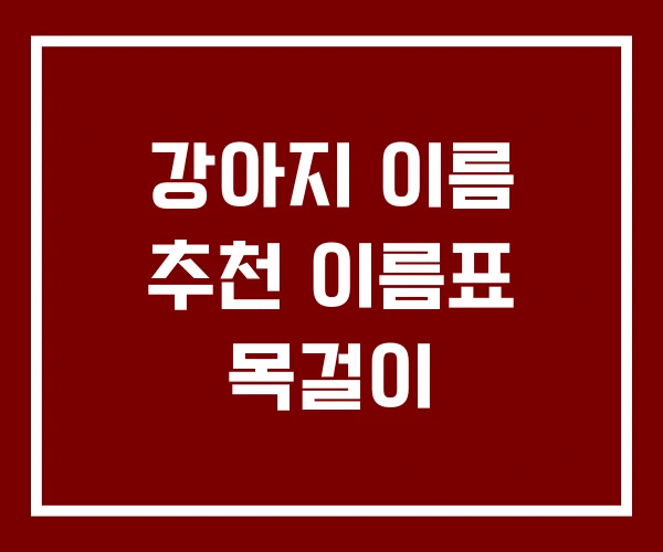 강아지 이름 추천 이름표 목걸이