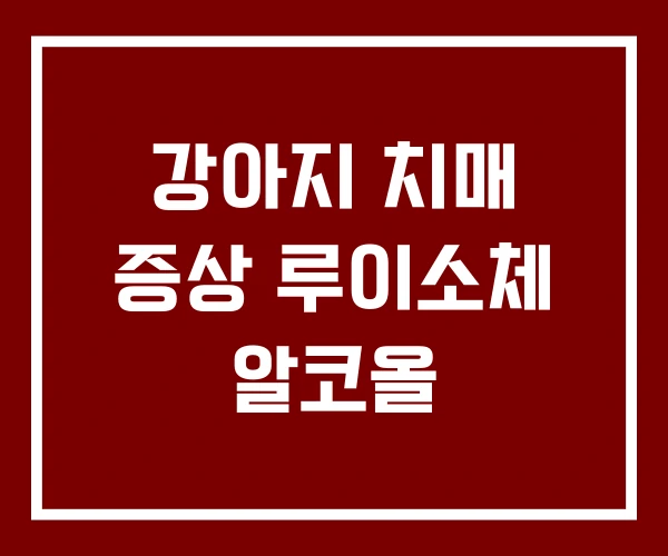 강아지 치매 증상 루이소체 알코올