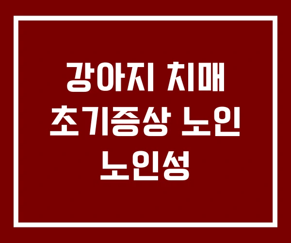 강아지 치매 초기증상 노인 노인성