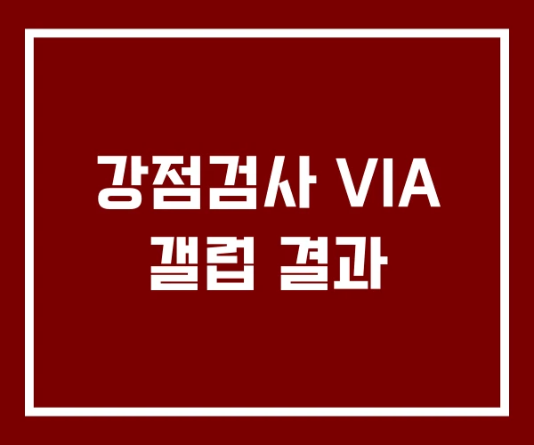 강점검사 VIA 갤럽 결과