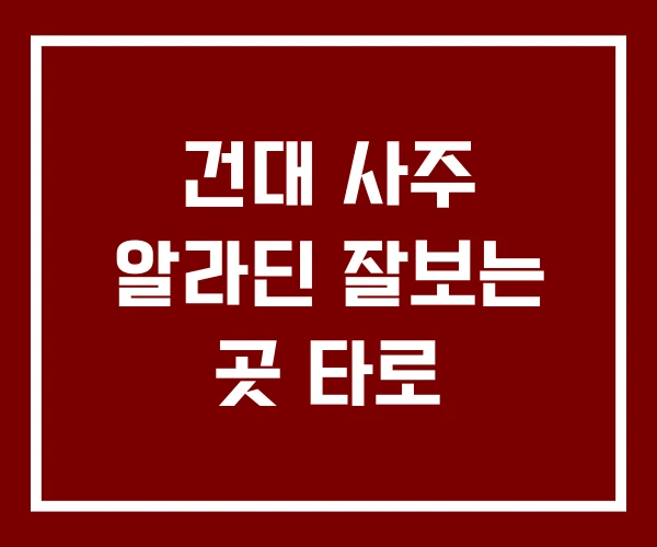 건대 사주 알라딘 잘보는 곳 타로