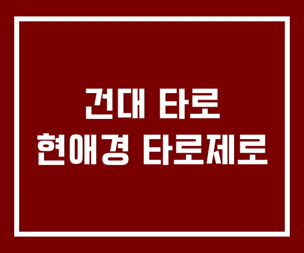 건대 타로 현애경 타로제로 건대 타로 현애경 타로제로