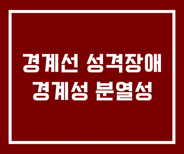 경계선 성격장애 경계성 분열성