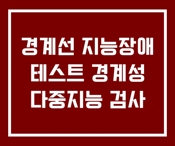 경계선 지능장애 테스트 경계성 다중지능 검사