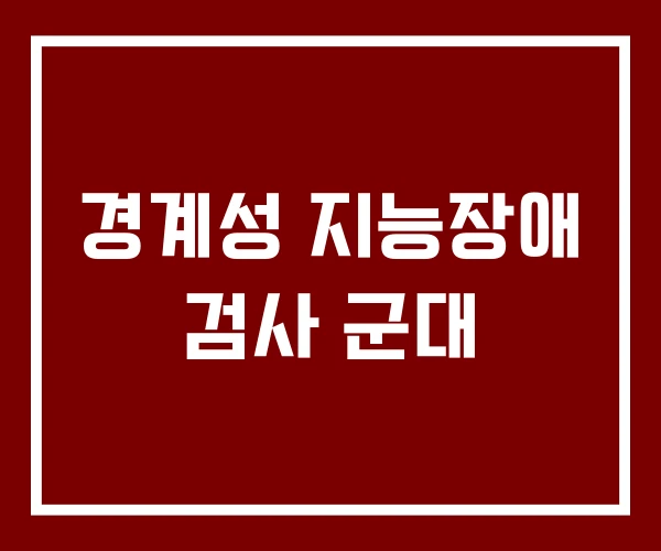 경계성 지능장애 검사 군대