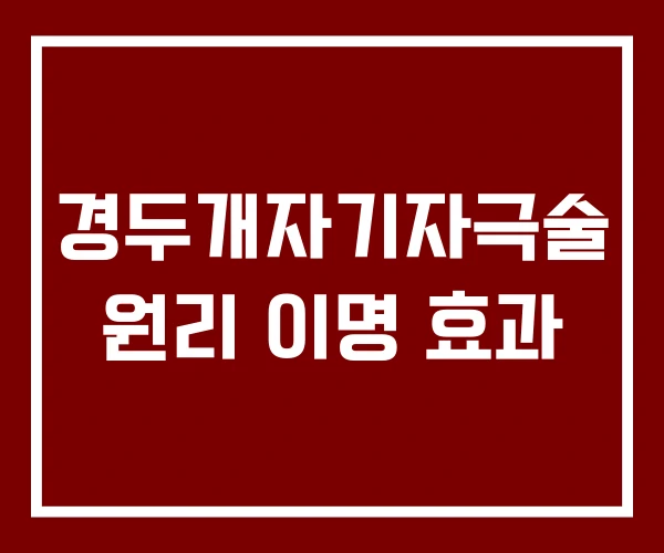 경두개자기자극술 원리 이명 효과