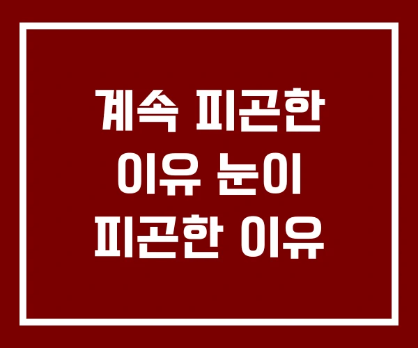 계속 피곤한 이유 눈이 피곤한 이유