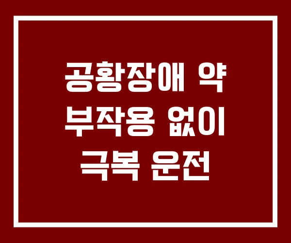 공황장애 약 부작용 없이 극복 운전