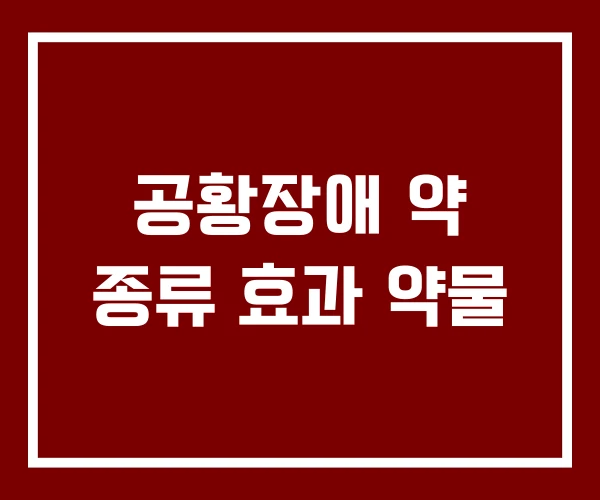 공황장애 약 종류 효과 약물