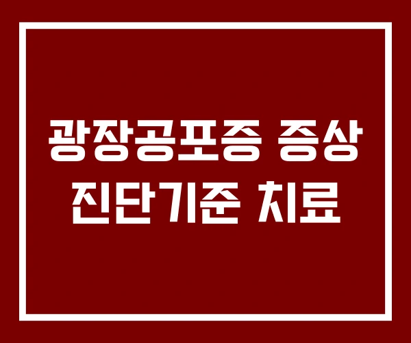광장공포증 증상 진단기준 치료