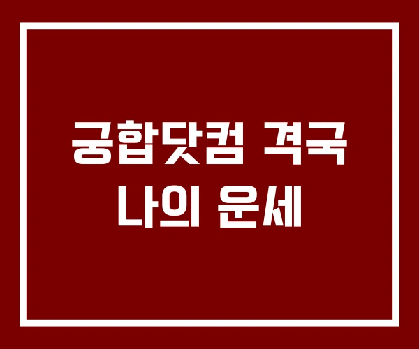 궁합닷컴 격국 나의 운세