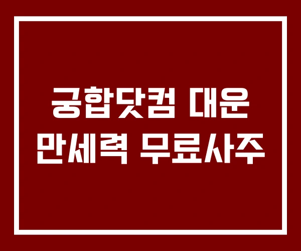 궁합닷컴 대운 만세력 무료사주