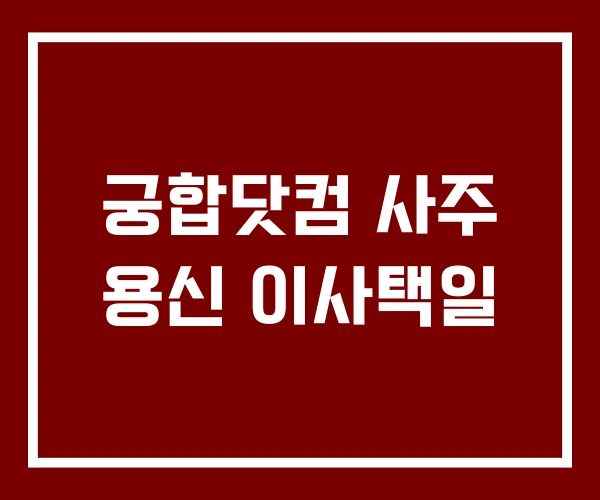 궁합닷컴 사주 용신 이사택일