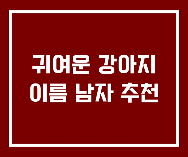 귀여운 강아지 이름 남자 추천