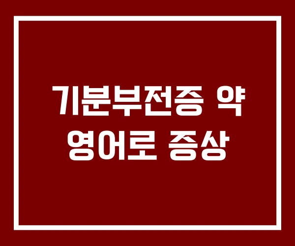 기분부전증 약 영어로 증상