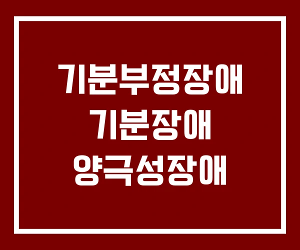 기분부정장애 기분장애 양극성장애