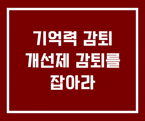 기억력 감퇴 개선제 감퇴를 잡아라