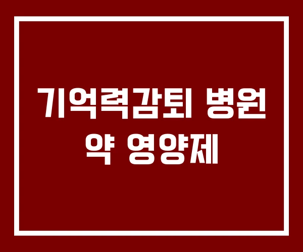 기억력감퇴 병원 약 영양제