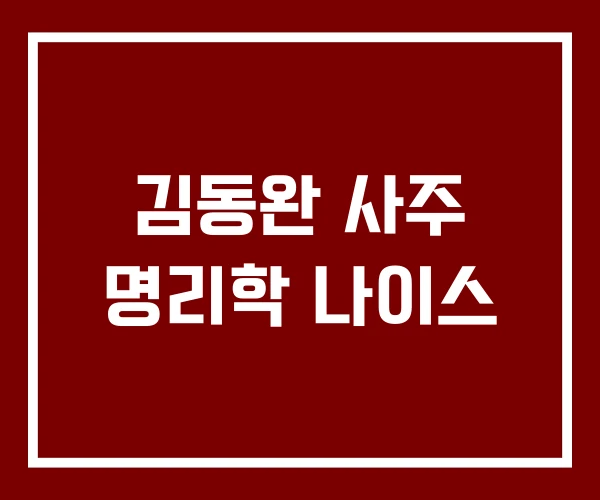 김동완 사주 명리학 나이스