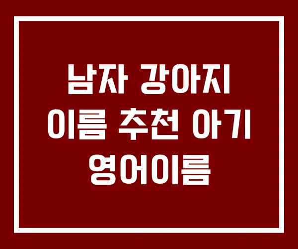 남자 강아지 이름 추천 아기 영어이름