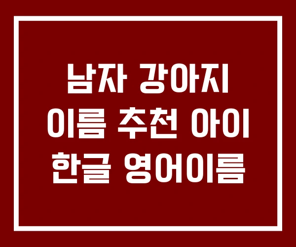 남자 강아지 이름 추천 아이 한글 영어이름
