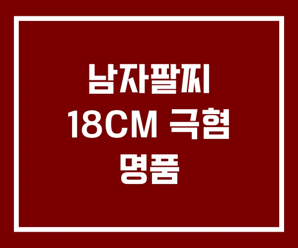 남자팔찌 18CM 극혐 명품