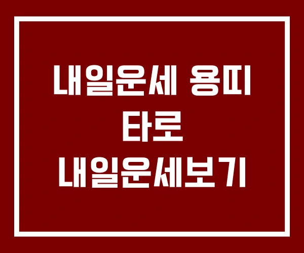 내일운세 용띠 타로 내일운세보기