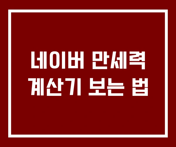 네이버 만세력 계산기 보는 법