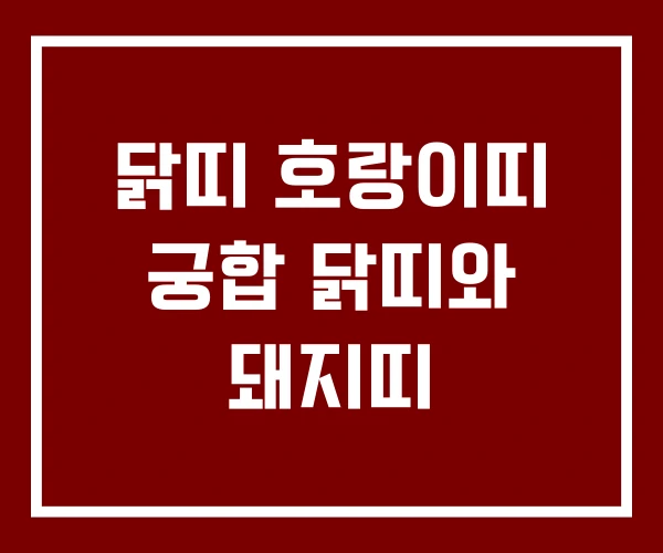 닭띠 호랑이띠 궁합 닭띠와 돼지띠