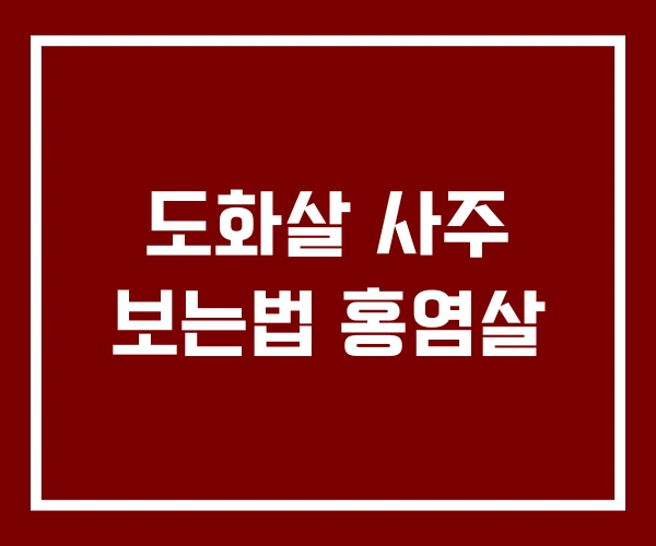 도화살 사주 보는법 홍염살