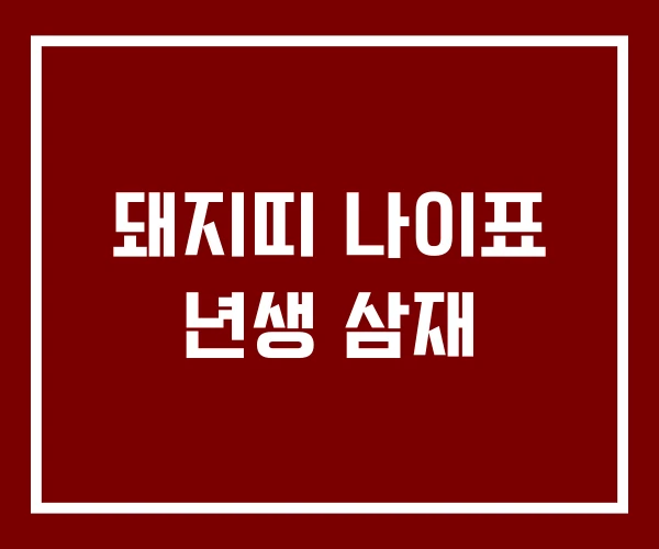 돼지띠 나이표 년생 삼재