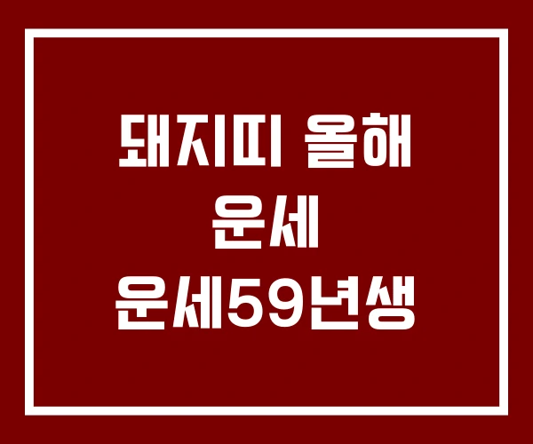 돼지띠 올해 운세 운세59년생